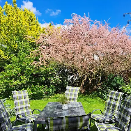 Apartment Zur Alten Schusterei