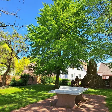 Апартаменты 