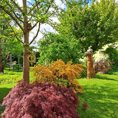 Apartment Zur Alten Schusterei Niederdorla